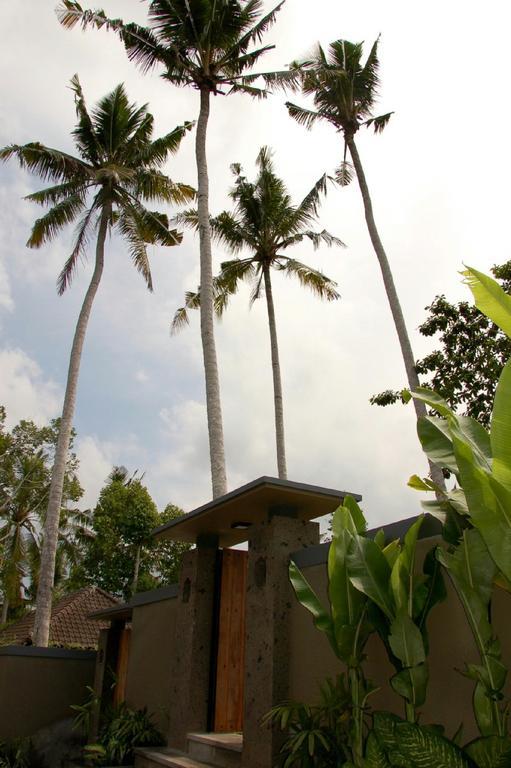 Villa Padma Ubud Екстер'єр фото